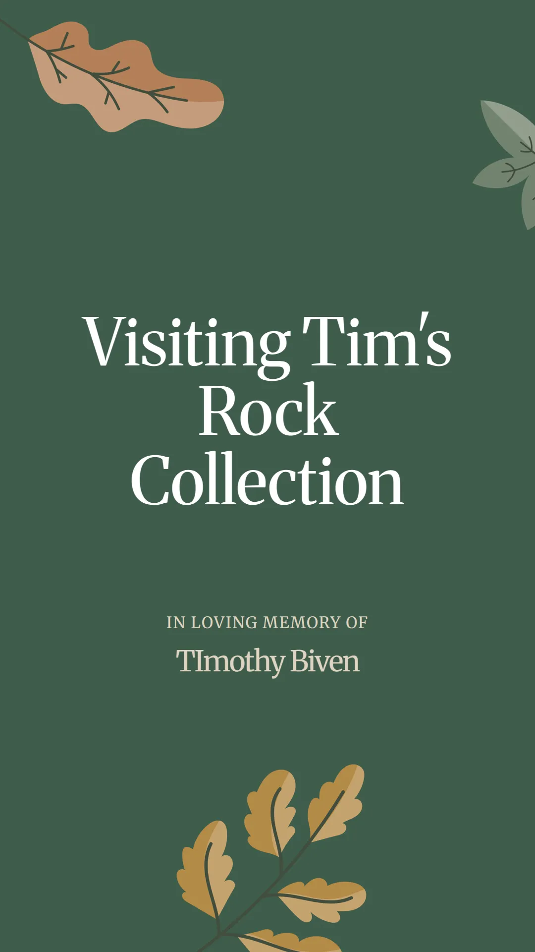 Visiting Tim's Rock Collection