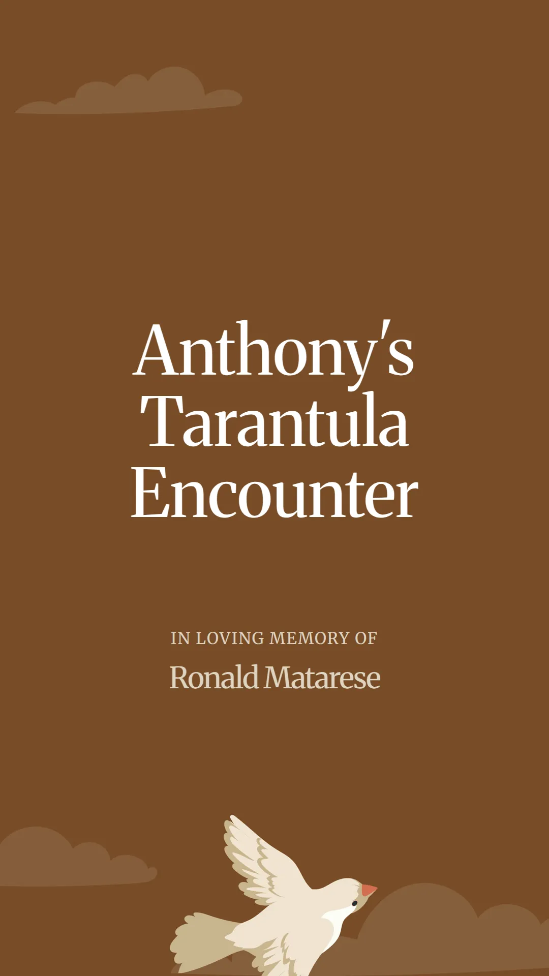 Anthony's Tarantula Encounter