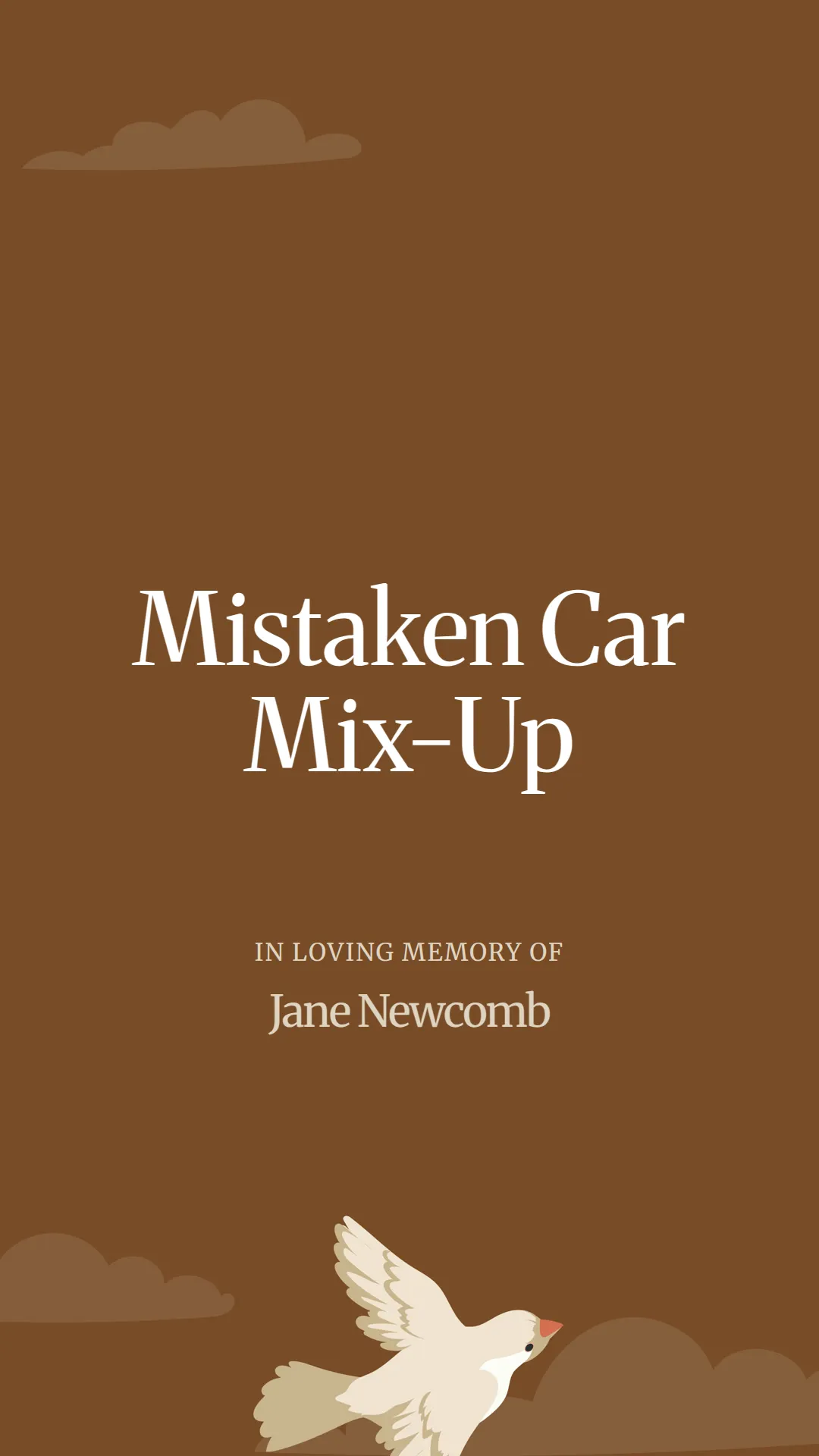 Mistaken Car Mix-Up