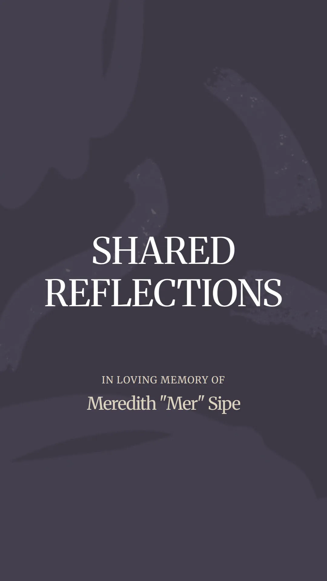 The Radiant Spirit of Meredith Sipe