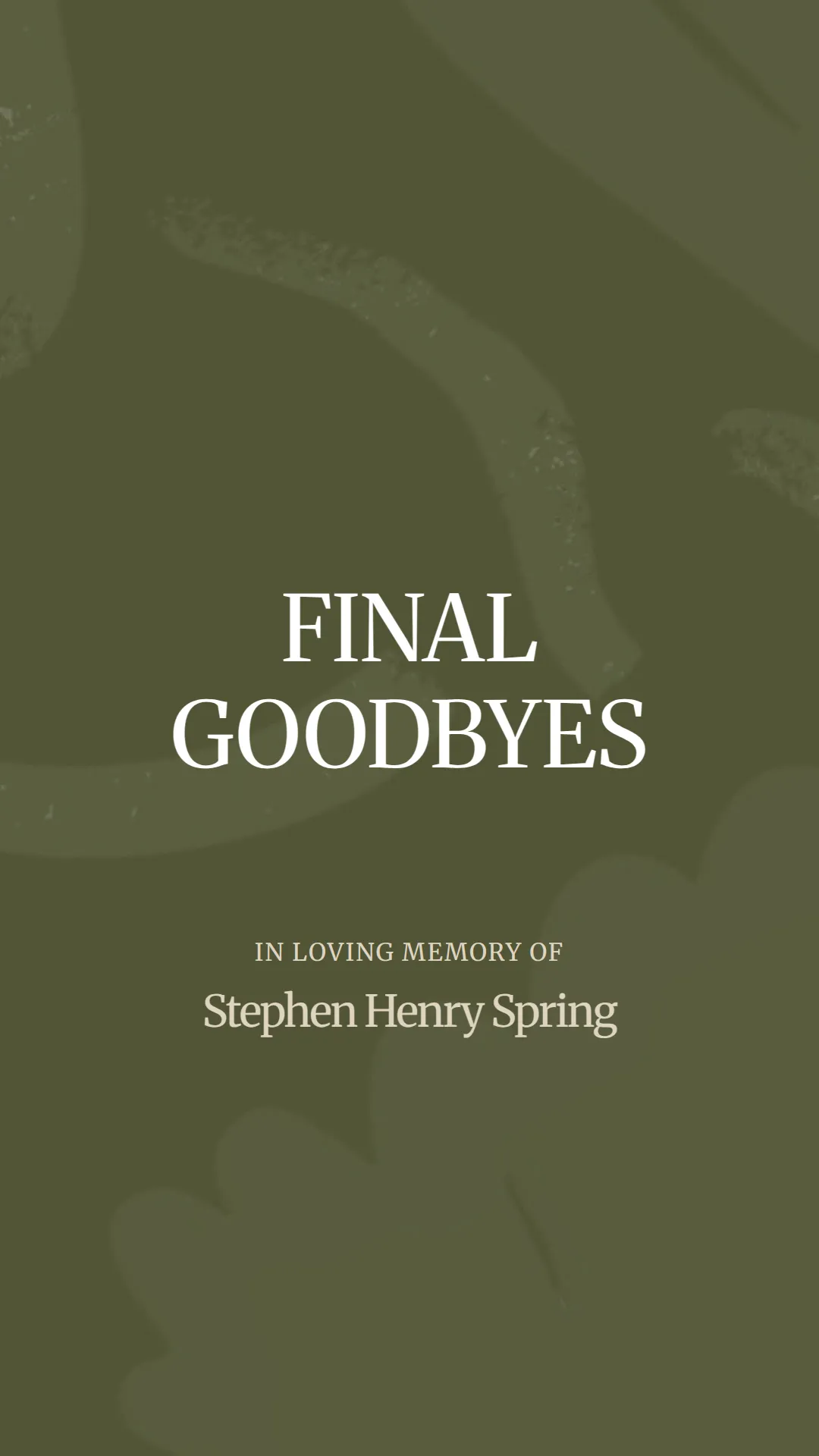A Heartfelt Farewell to Stephen Henry Spring