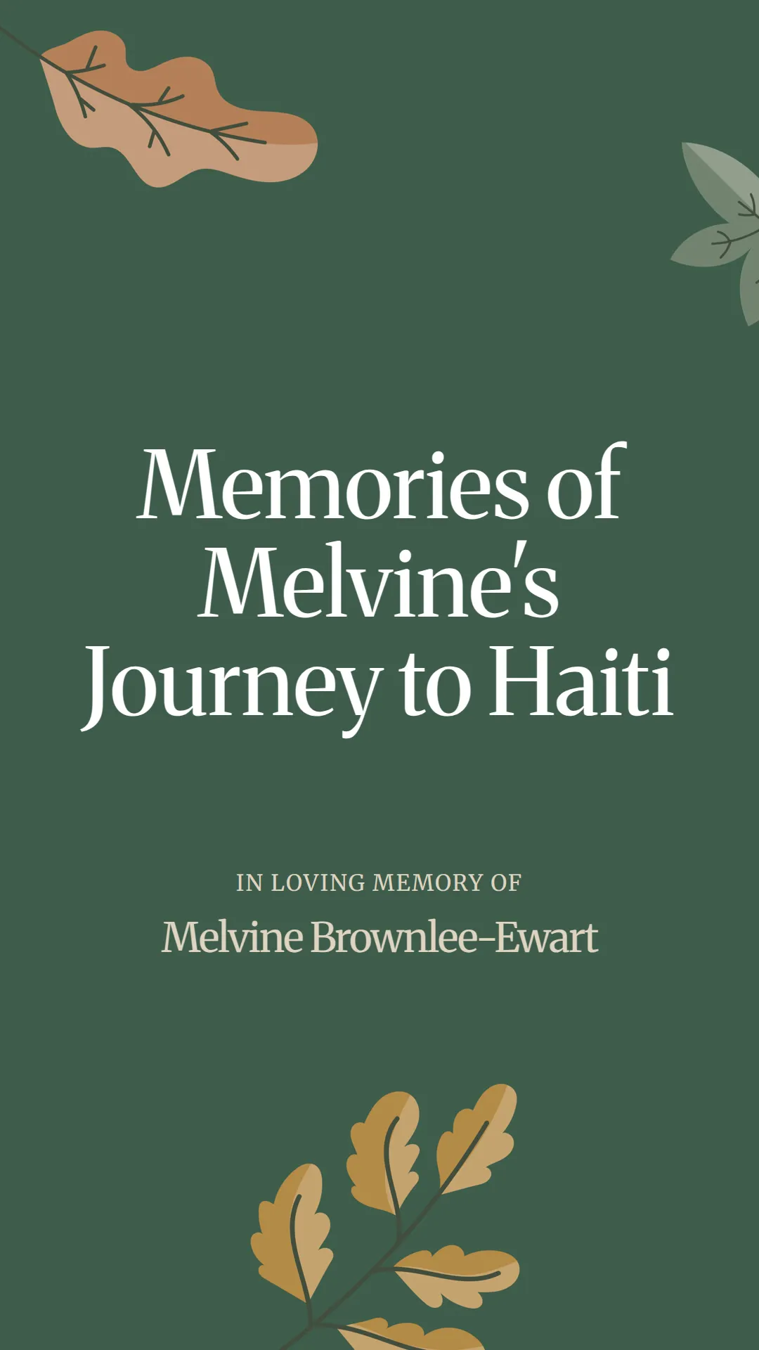 Memories of Melvine's Journey to Haiti