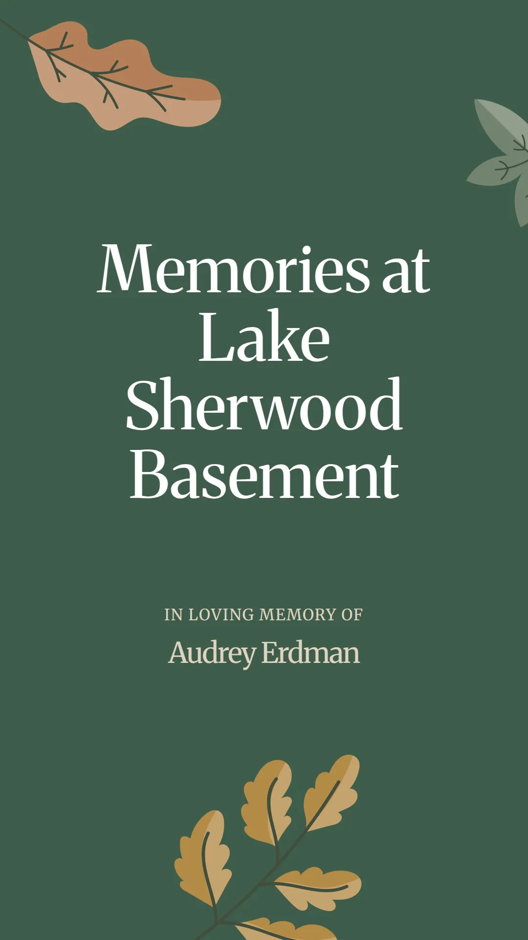 Memories at Lake Sherwood Basement