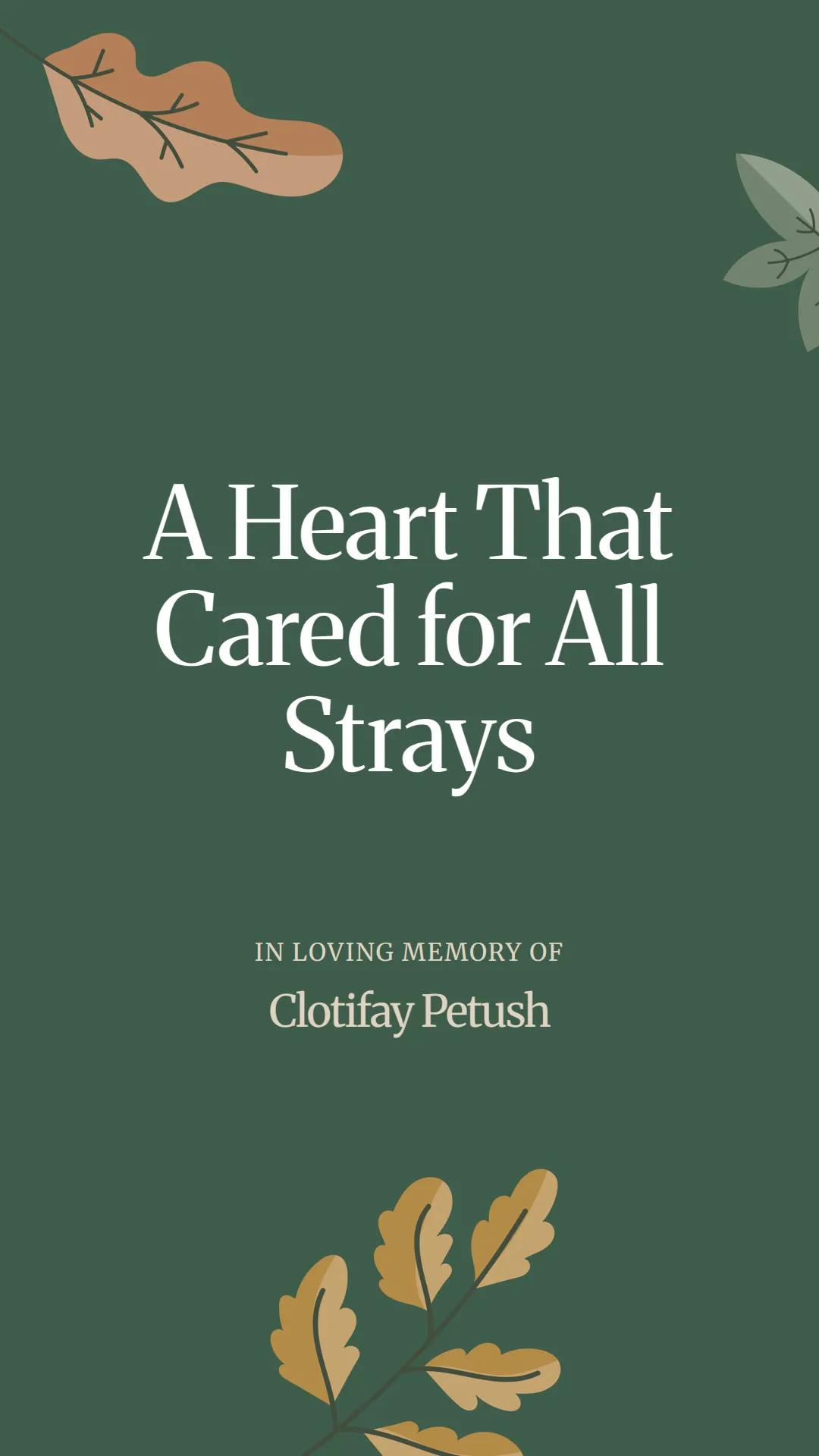 A Heart That Cared for All Strays