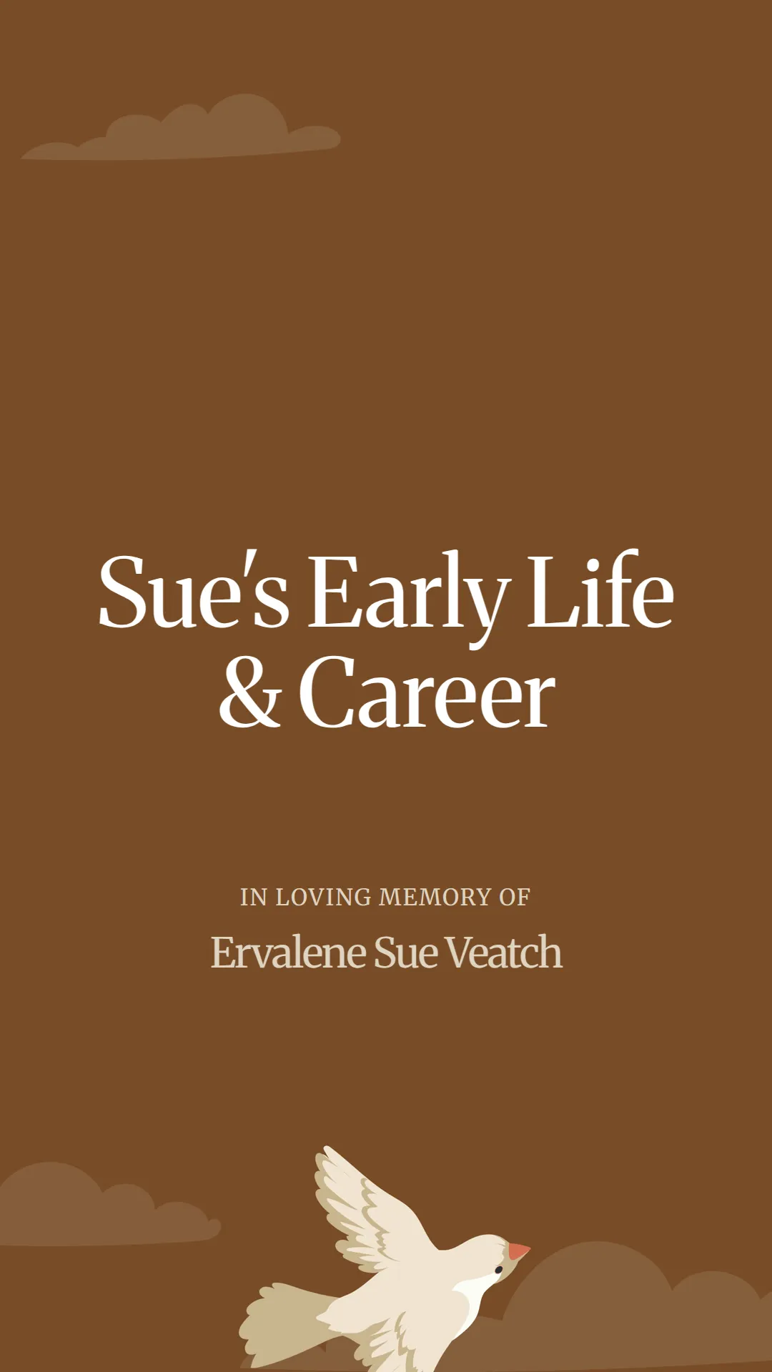 Sue's Early Life and Career