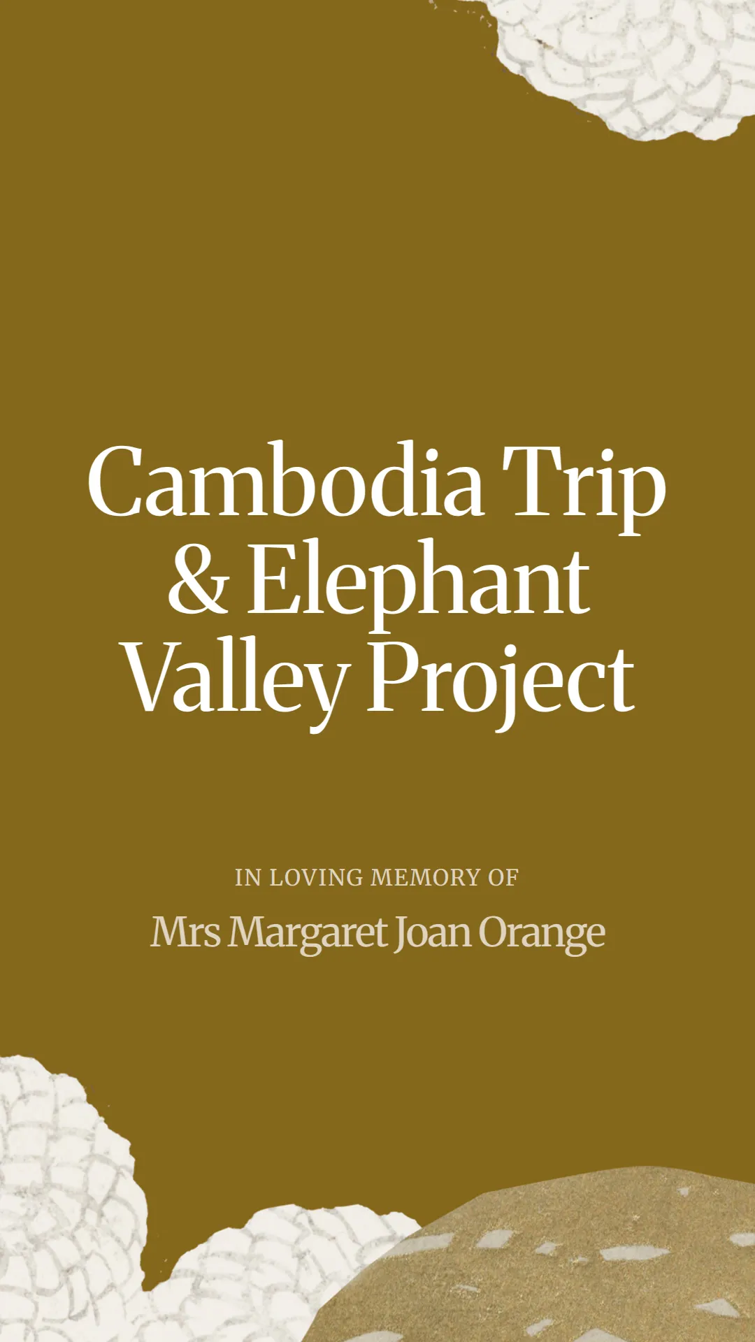 Cambodia Trip and Elephant Valley Project