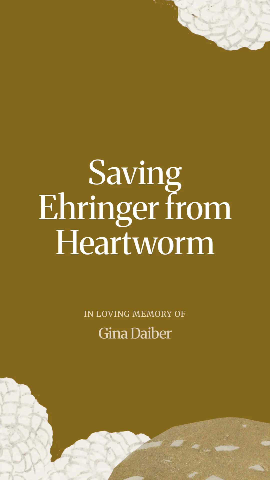 Saving Ehringer from Heartworm