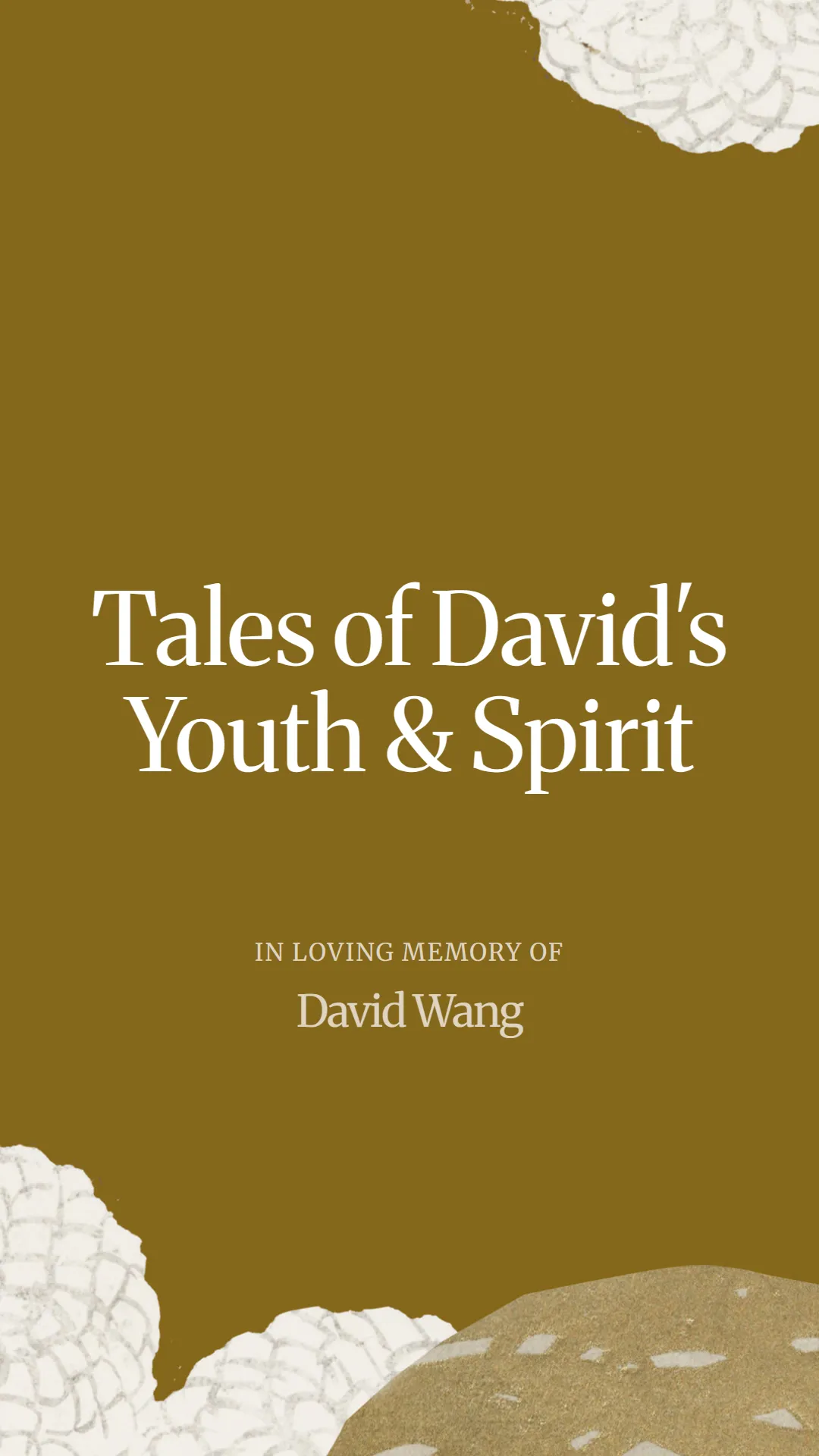 Tales of David's Youth and Spirit