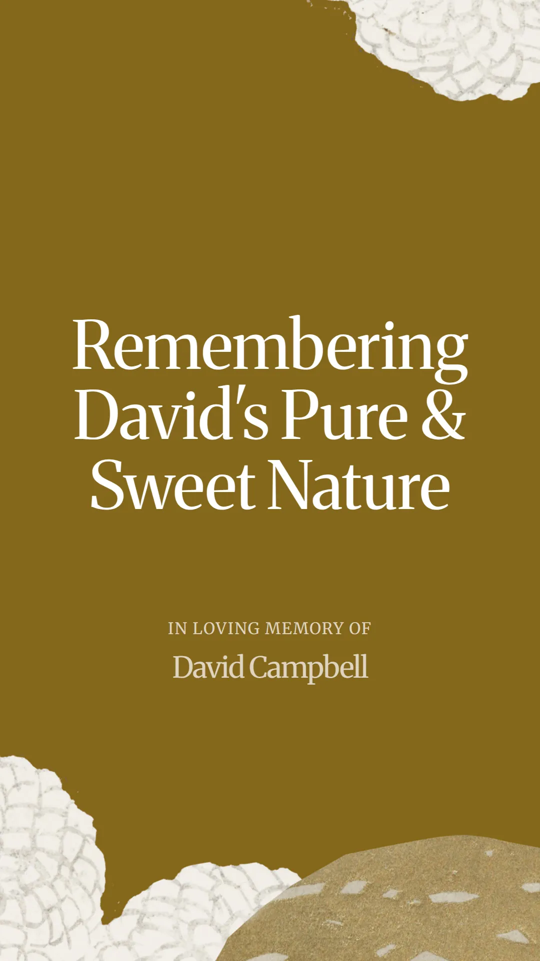 Remembering David's Pure and Sweet Nature