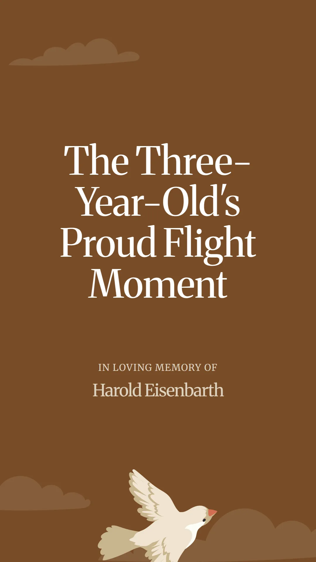The Three-Year-Old's Proud Flight Moment