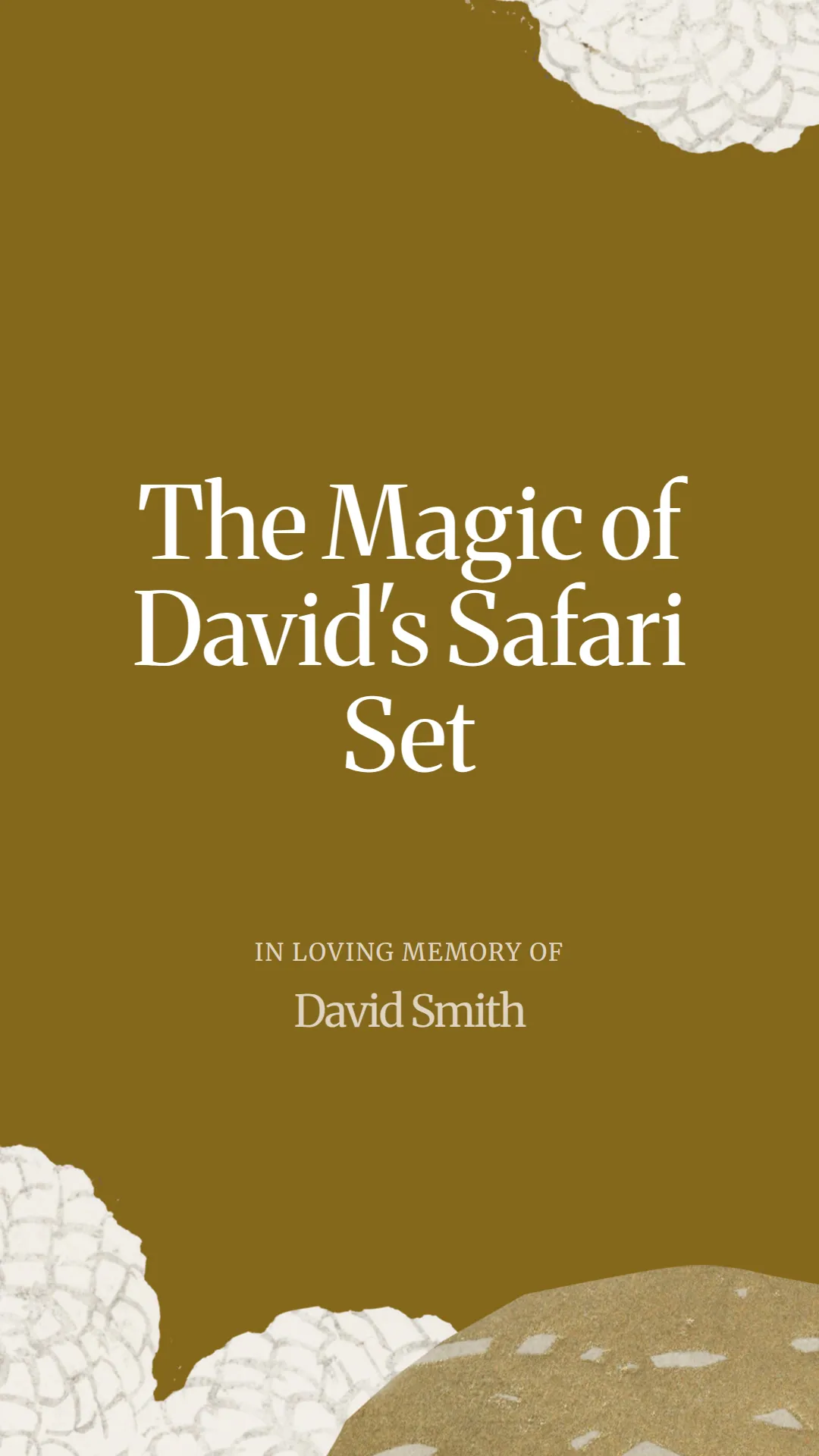 The Magic of David's Safari Set