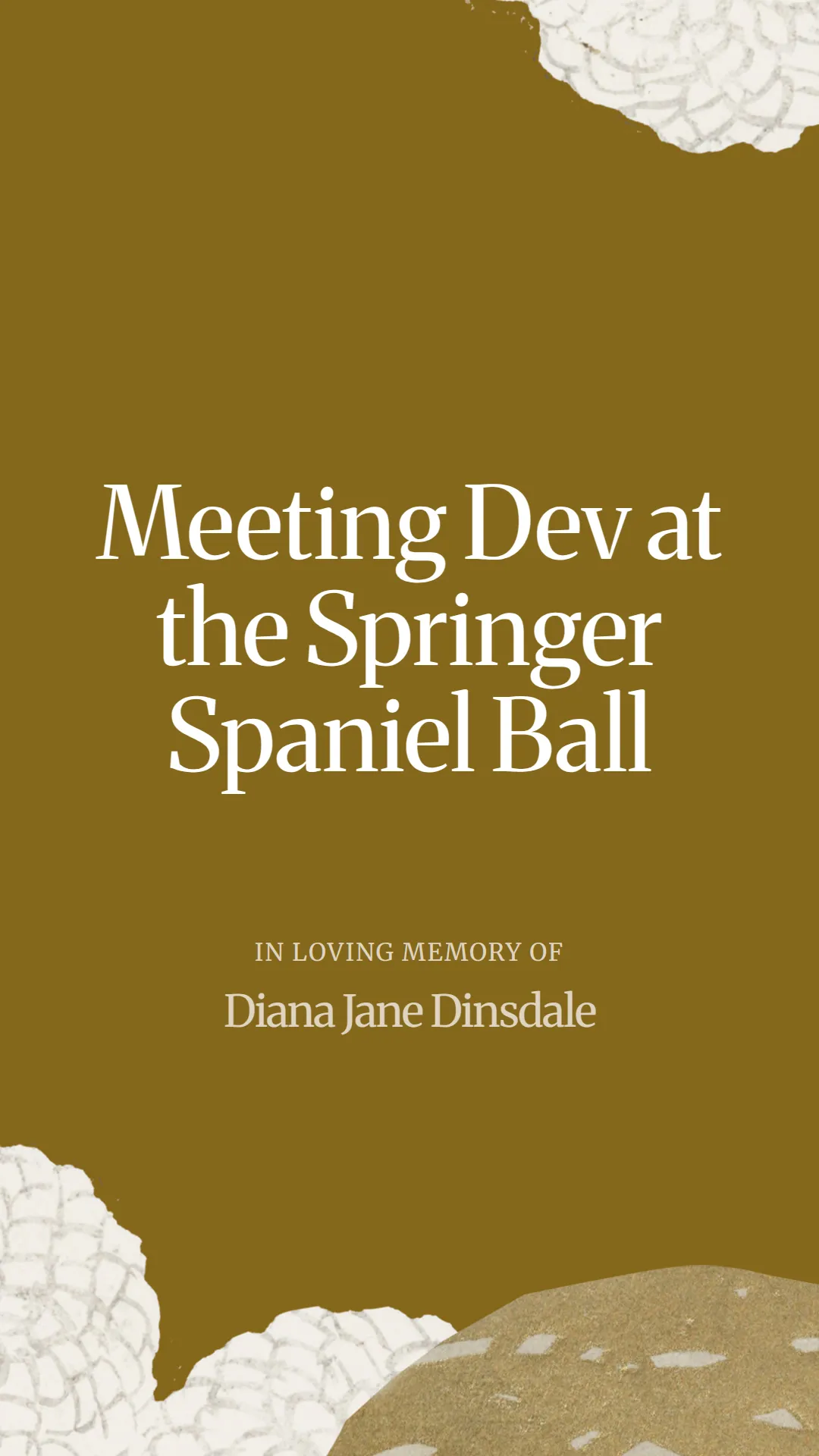Meeting Dev at the Springer Spaniel Ball