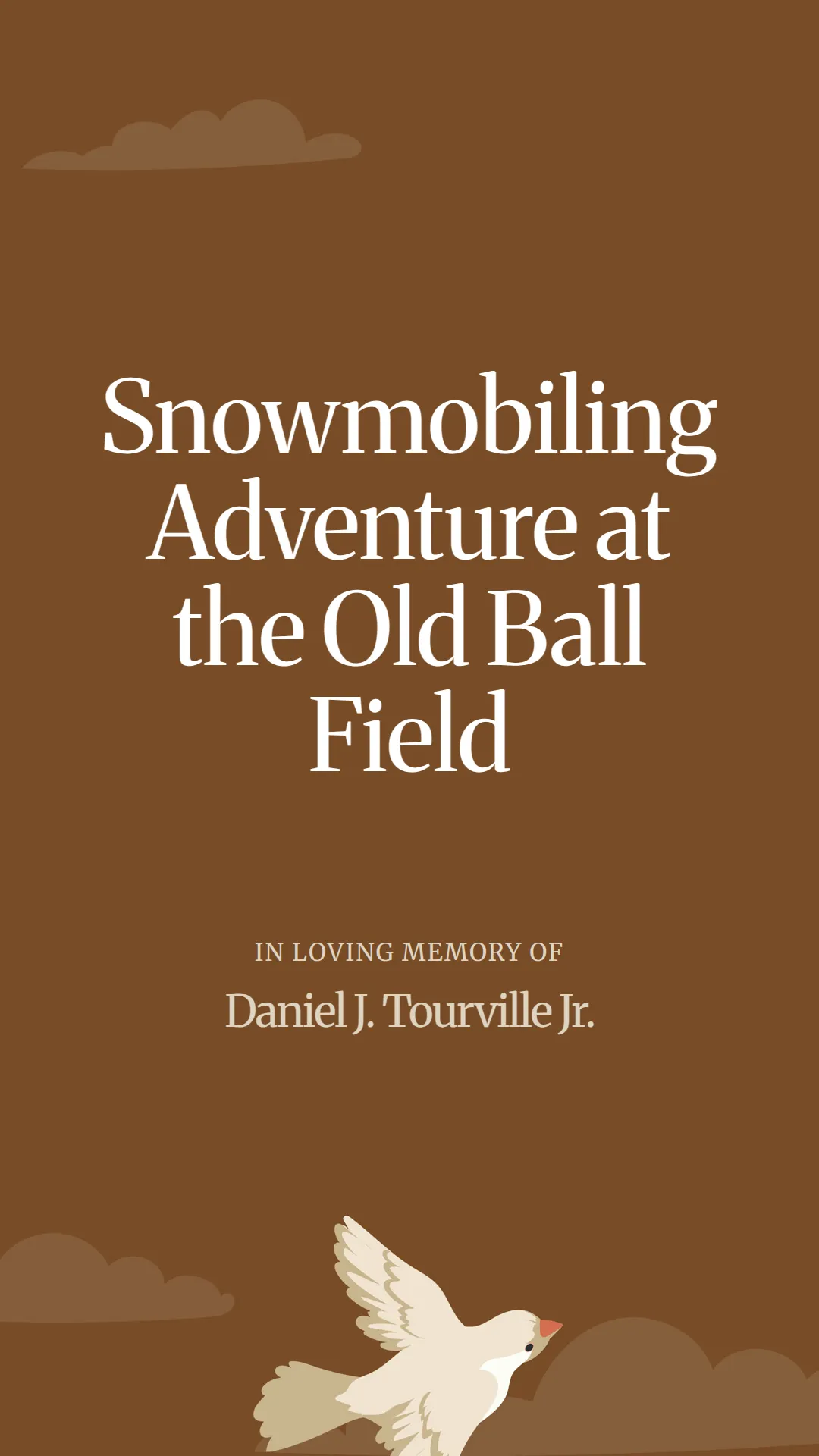 Snowmobiling Adventure at the Old Ball Field