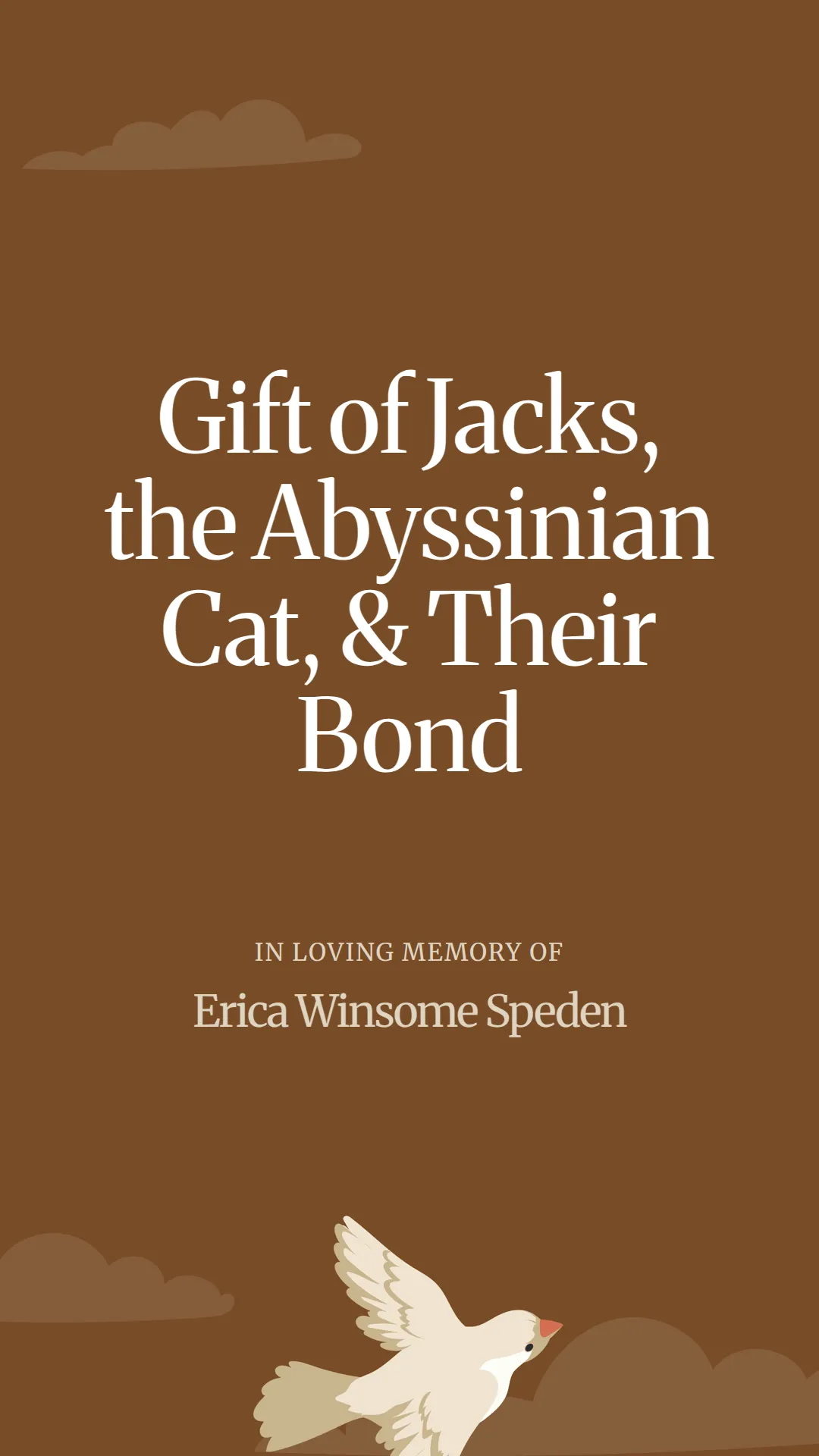 Gift of Jacks, the Abyssinian Cat, and Their Bond