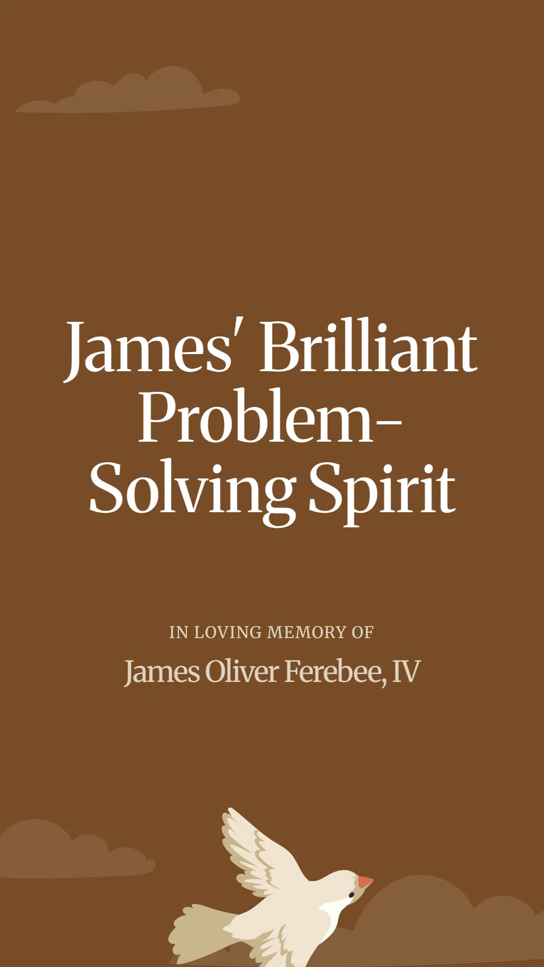 James' Brilliant Problem-Solving Spirit