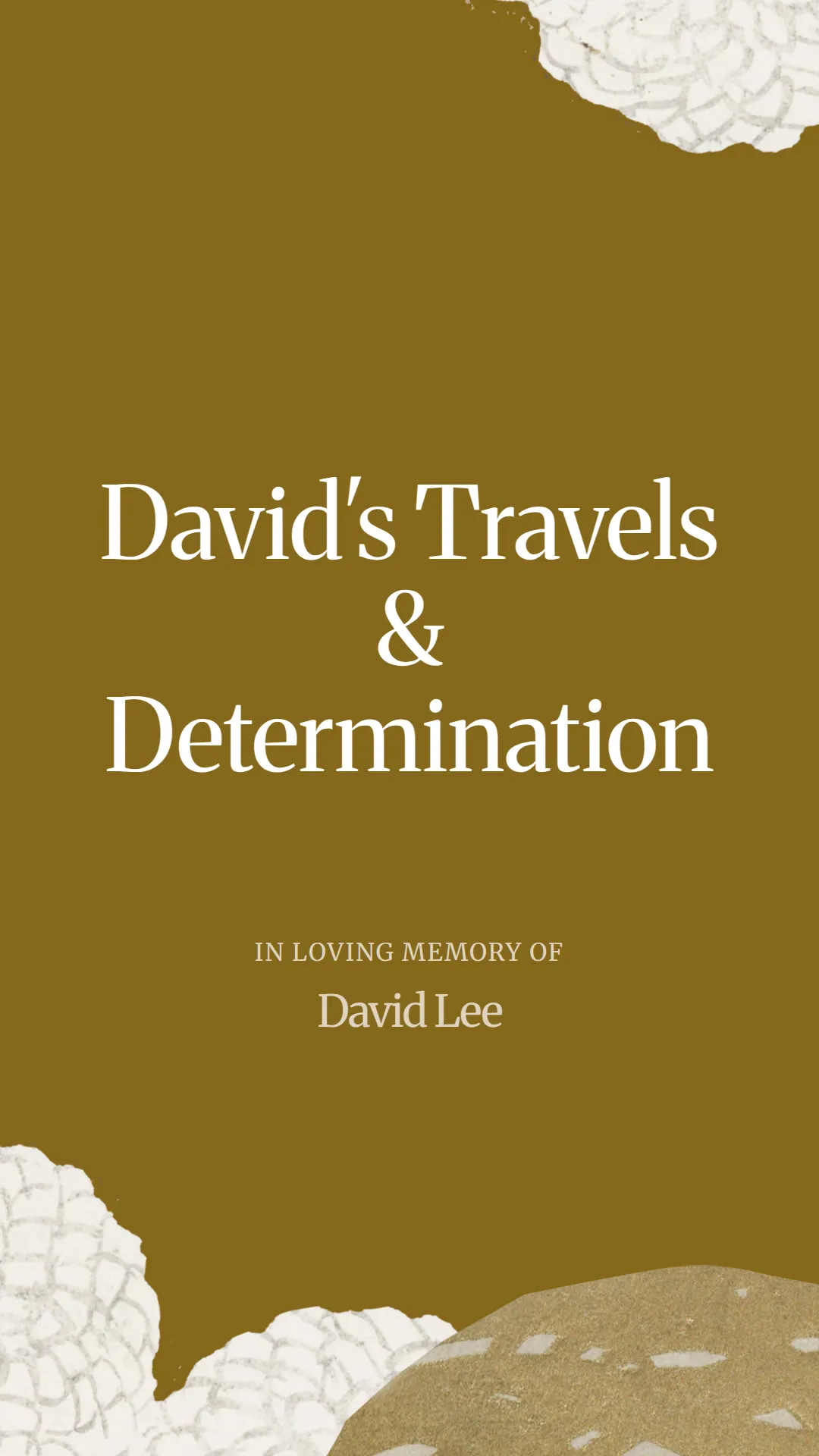 David's Travels and Determination