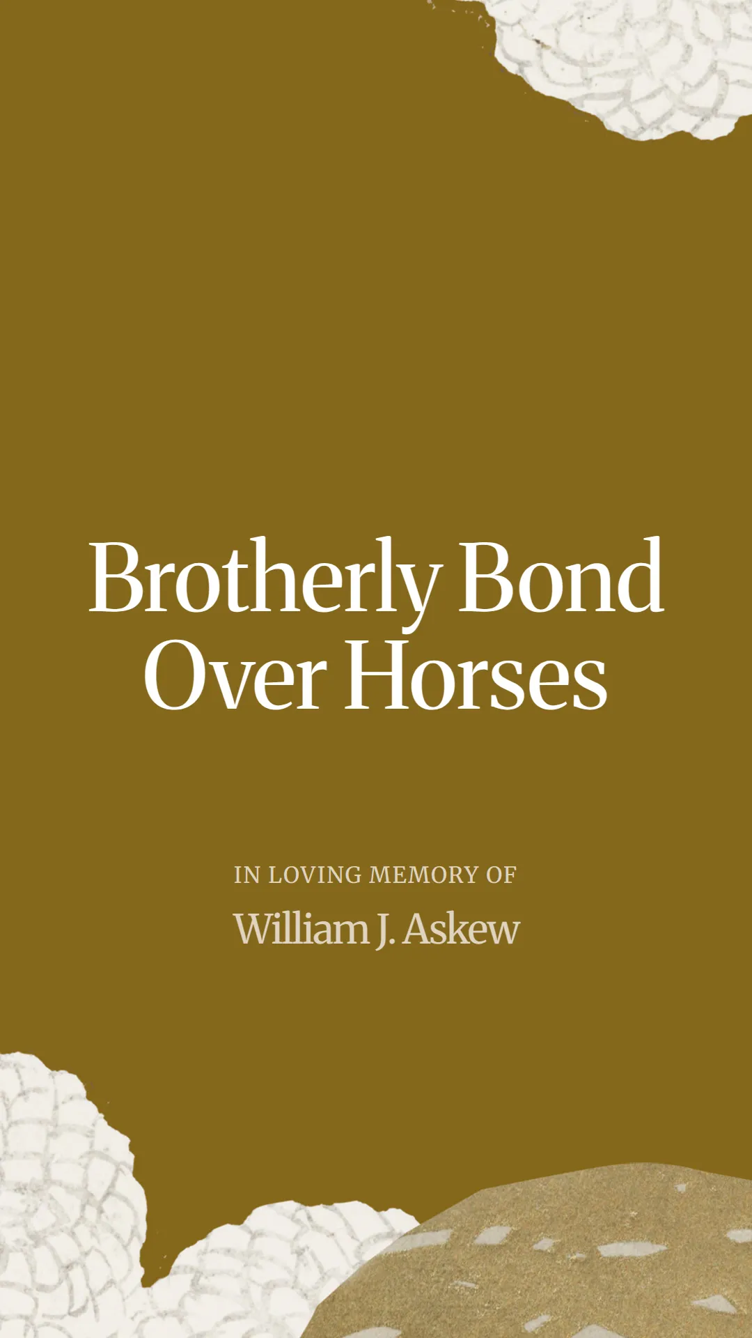 Brotherly Bond Over Horses