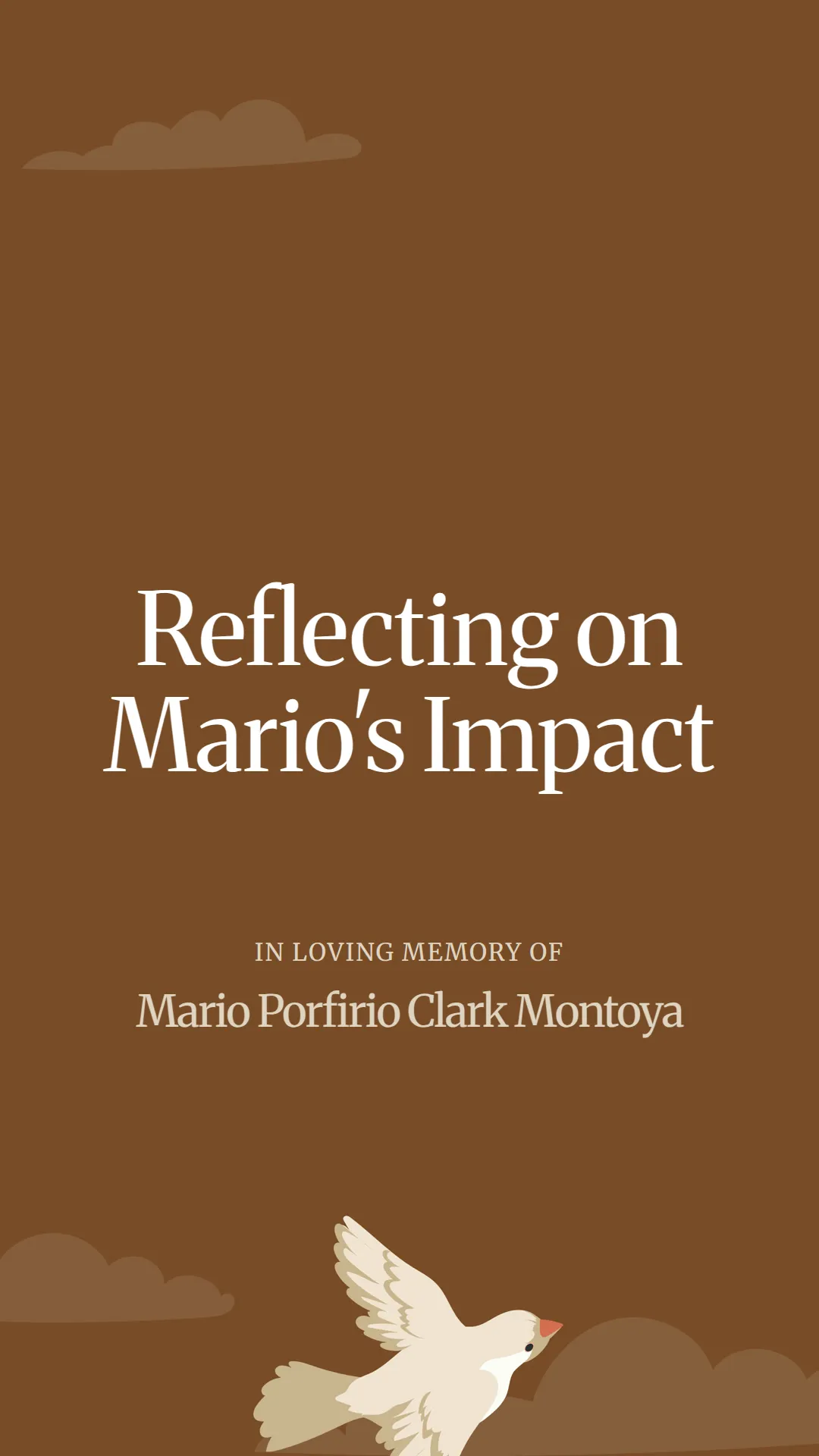 Reflecting on Mario's Impact
