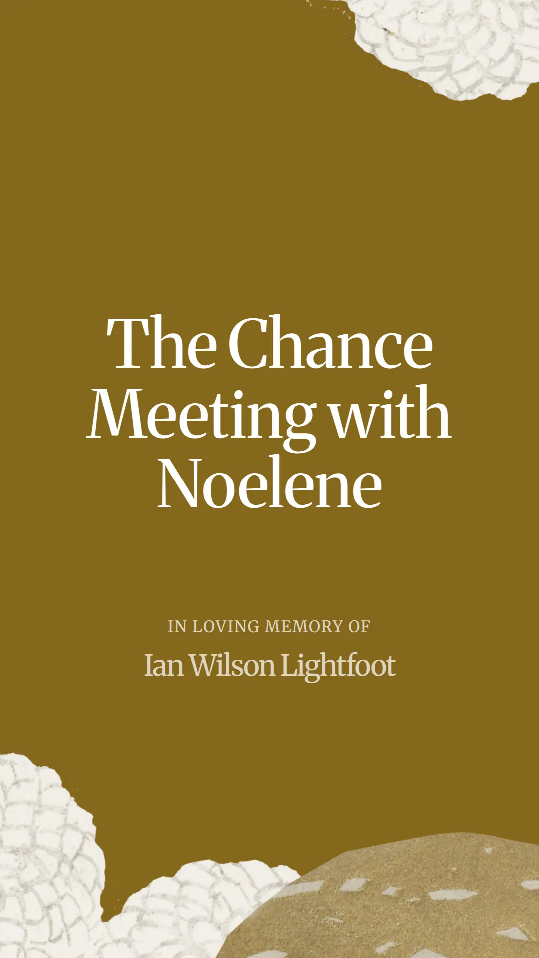 The Chance Meeting with Noelene