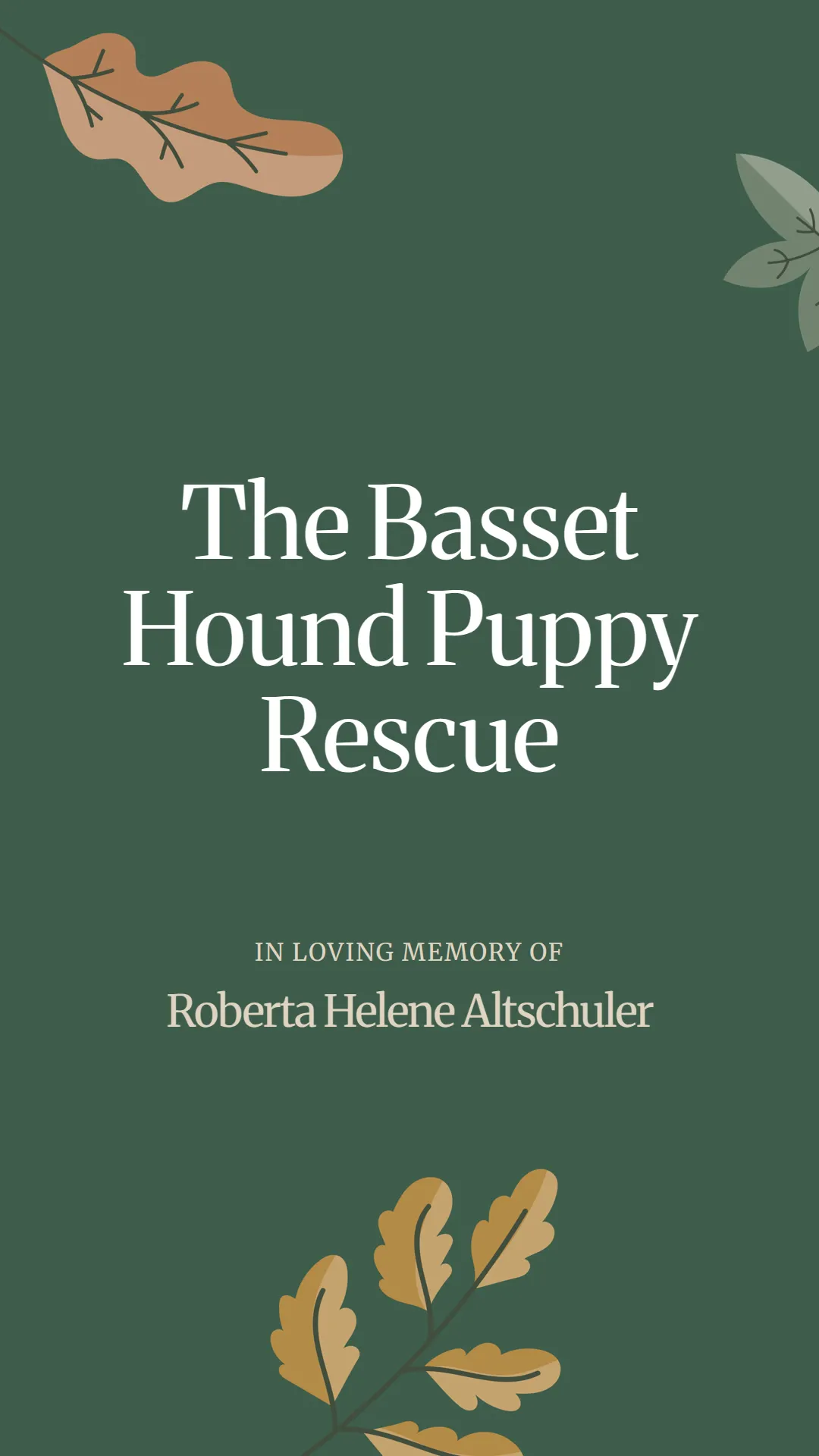 The Basset Hound Puppy Rescue